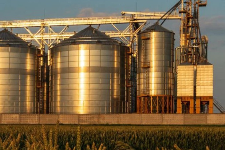Uso de las reservas estratégicas de cereales para mejorar la seguridad alimentaria